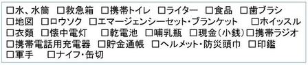 非常持ち出し品　チェックリスト