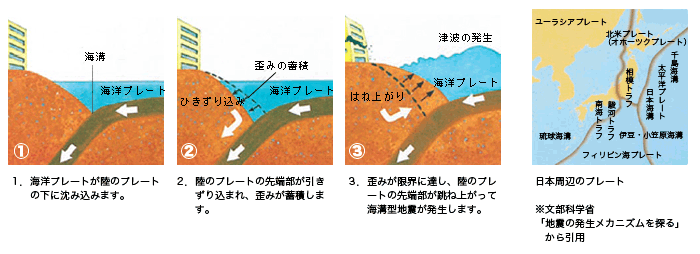 説明イラスト：(1)海洋プレートが陸のプレートの下に沈み込みます。海洋プレートと陸のプレートの間にある溝が「海溝」です。(2)陸のプレートの先端部が引きずり込まれ、歪みが蓄積します。(3)歪みが限界に達し、陸のプレートの先端部が跳ね上がることで、海溝型地震が発生します。日本周辺には、ユーラシアプレート・北米プレート（別名オホーツクプレート）・太平洋プレート・フィリピン海プレートの4つのプレートがあり、千鳥海溝・日本海溝・伊豆小笠原海溝・琉球海溝・相模トラフ・駿河トラフ・南海トラフという海溝があります。これらは文部科学省「地震の発生メカニズムを探る」から引用しています。