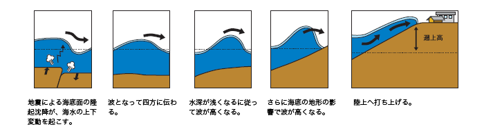 説明イラスト：(1)地震によって海底面が隆起沈降したことにより、海水が上下に動きます。(2)海水が上下に動くと、波となってまわりに伝わります。(3)波は水深が浅くなるにしたがって、津波の伝わる速度が遅くなるため、後から来る波が前の波に追いつき、波が高くなります。(4)岬の先端やV字型の湾の奥などの特殊な地形の場所では、波が集中するので、さらに波が高くなります。(5)坂を上るように波が陸地に押し寄せます。