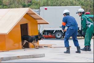 写真：家を捜索する警備犬