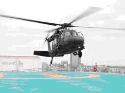 在日米陸軍ヘリによる医療搬送の写真