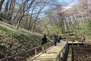 写真：里山