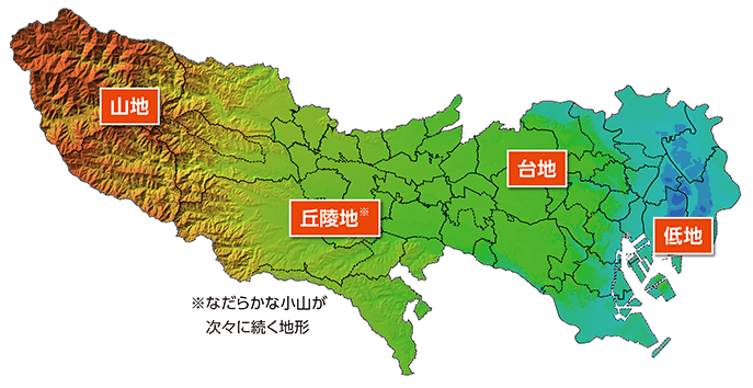 東京の高度分布図：山地　丘陵地（なだらかな小山が次々に続く地形）　台地　低地