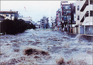 写真：水が溢れたちいさな川