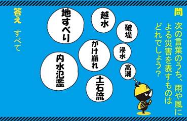 代替テキスト：新宿・渋谷のデジタルサイネージの答え
